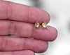 Robin Earrings
