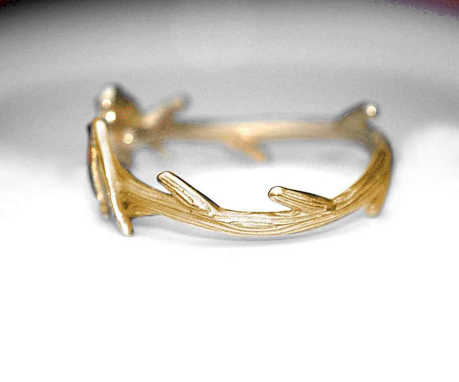 Robin Ring