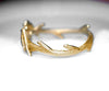 Robin Ring
