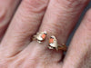 Robin Ring